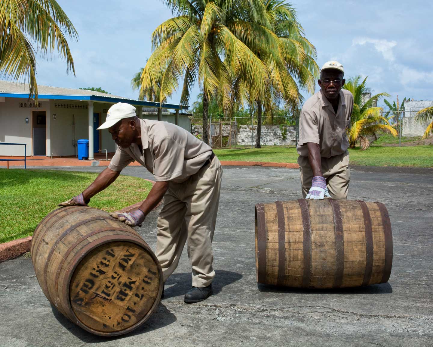 Exterior view of St Vincent Distillers showing wooden barrels stacked outside and copper stills visible through windows